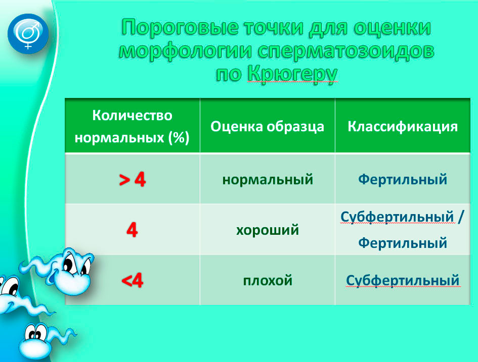 Порно мұғалімі және студент Мерлин